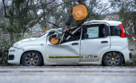 Relativ ruhiges Naturgefahrenjahr entlastet KFZ-Versicherer