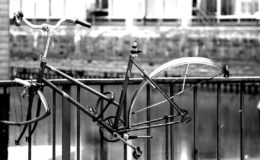 Das sind die 20 größten Anbieter von Hausratversicherungen