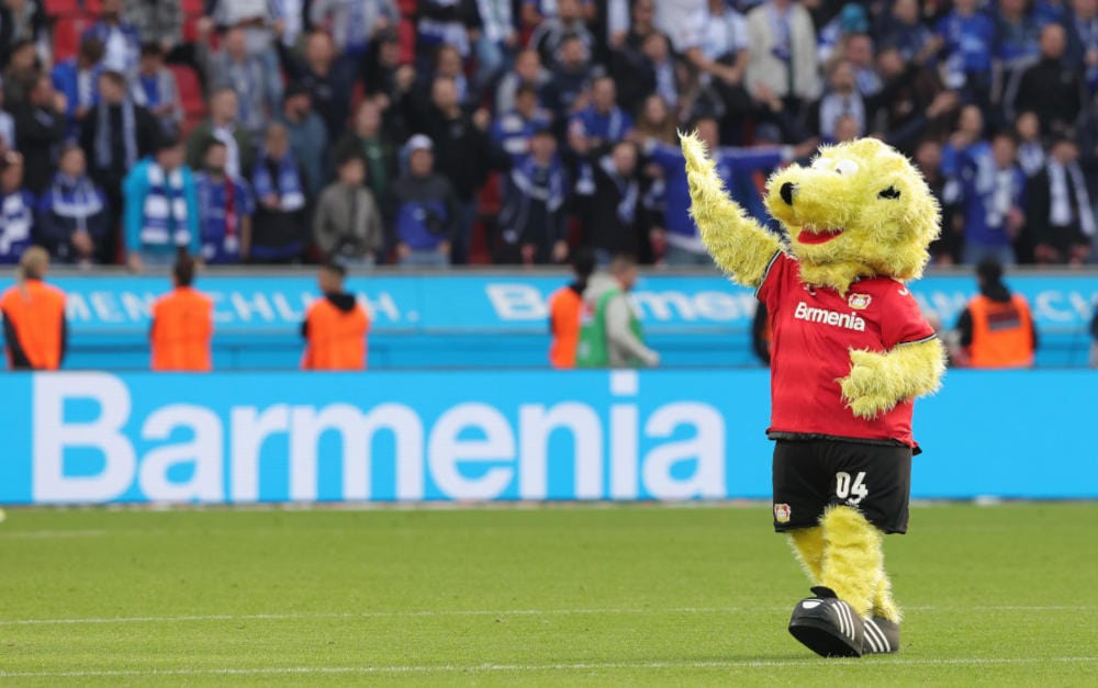Barmenia-Rating beträgt weiter A+
