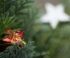 Teilnahmebedingungen für unser Adventsgewinnspiel auf Facebook und Instagram