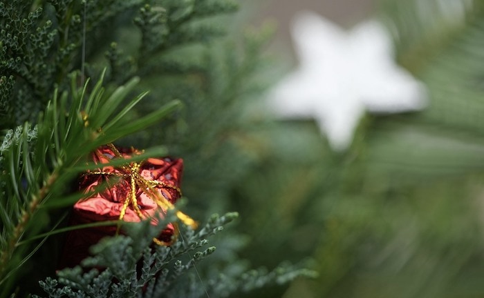 Teilnahmebedingungen für unser Adventsgewinnspiel auf Facebook und Instagram