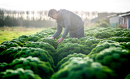 Hier sind weitere Betriebshaftpflicht-Favoriten der Vema-Makler