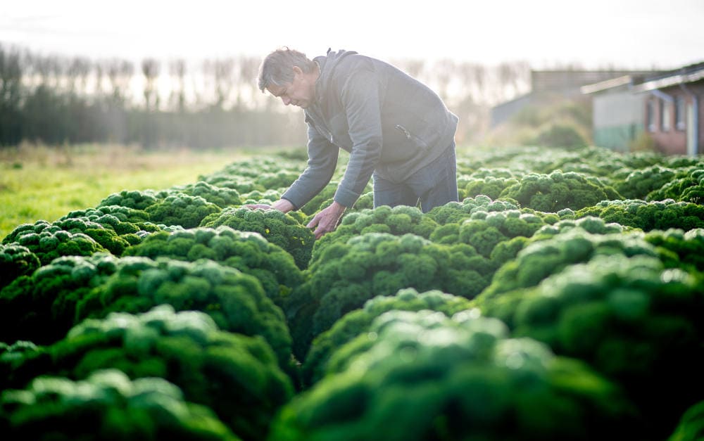 Hier sind weitere Betriebshaftpflicht-Favoriten der Vema-Makler