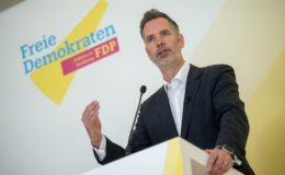 FDP-Fraktionschef fordert mehr Flexibilität beim Rentenalter