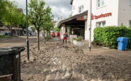 Aktuare erwarten keine geringeren Prämien durch Pflichtversicherung