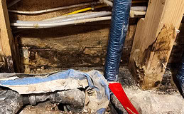 Franke und Bornberg bewertet Wohngebäudeversicherungen