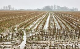 77 Prozent haben Angst vor Starkregen