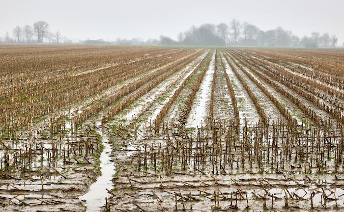 77 Prozent haben Angst vor Starkregen