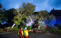 Die Makler-Favoriten im Schaden- und Unfallgeschäft