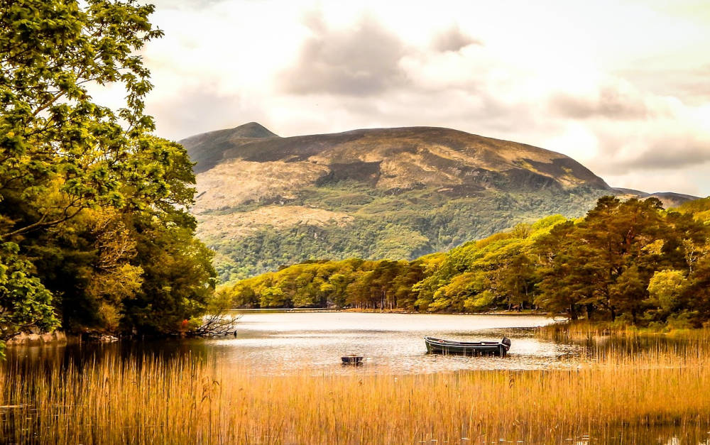 Was sich Fondspolicen-Inhaber ins Portfolio packen