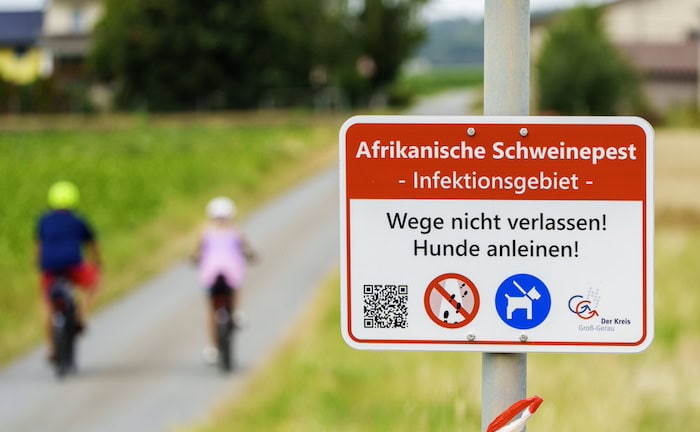 R+V: Tierseuchen könnten Millionenschäden verursachen