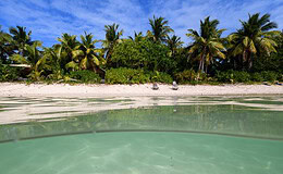 Warum grüne Fonds derzeit unterdurchschnittlich abschneiden