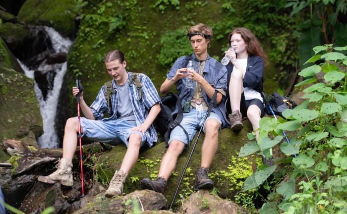 Grün investieren möchten vor allem junge Kunden