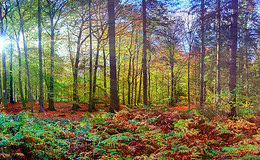 Aktive ETFs bleiben Nischenprodukt in Europa