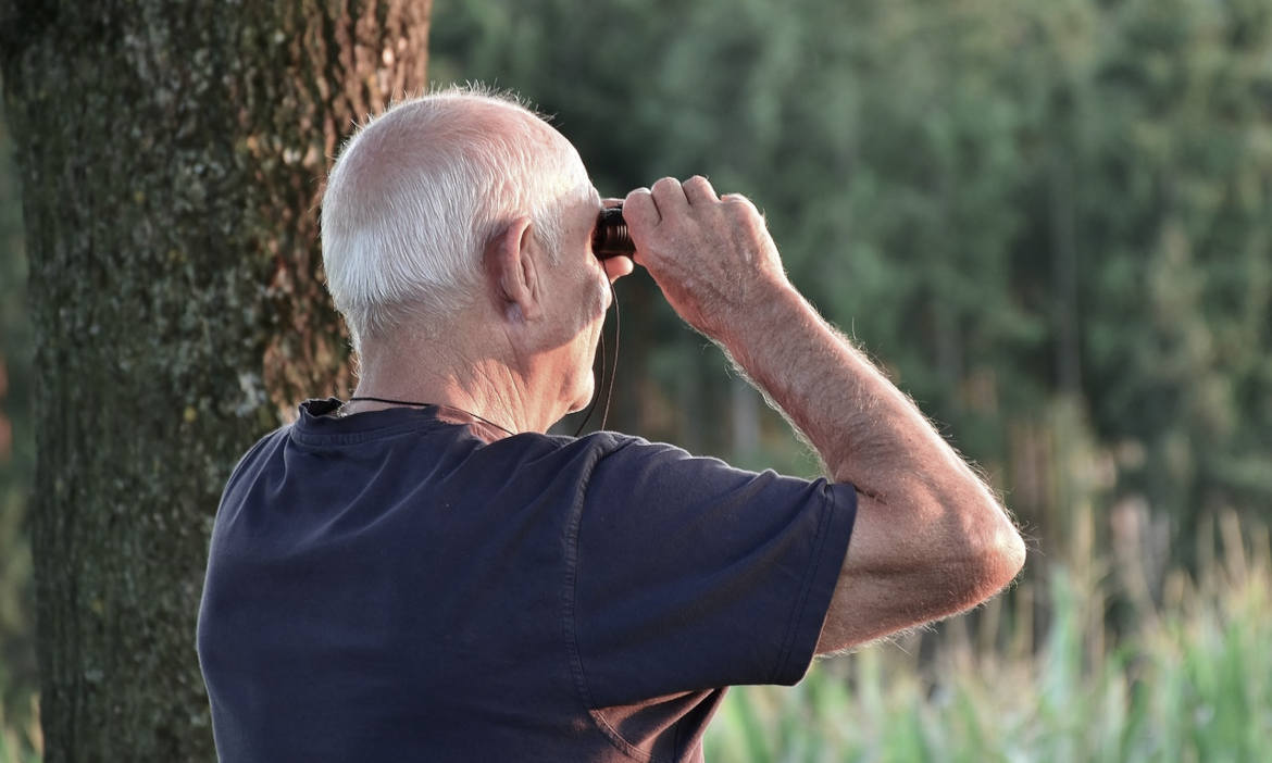 Von 872 Tarifen findet Franke und Bornberg den Großteil „sehr gut“