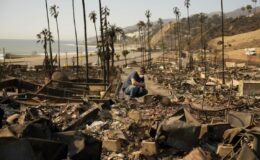 US-Versicherungsanalyst spricht von „Versicherungskrise“