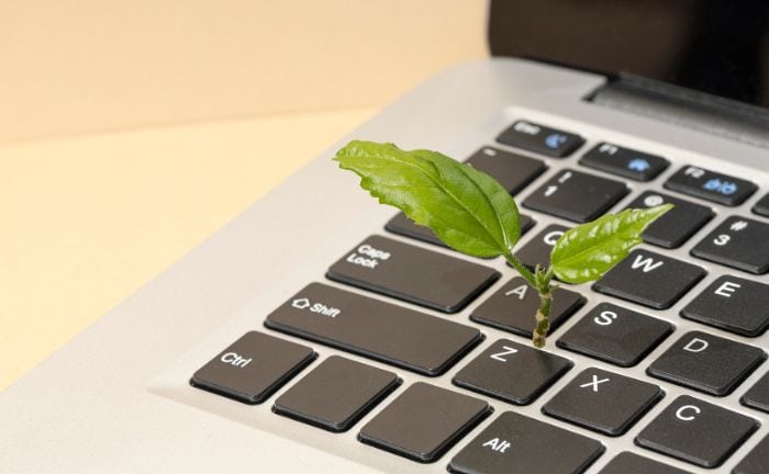 Warum die Digitalisierung Versicherer nachhaltiger macht