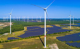 Wahlprogramm 2025: Was Parteien zur Nachhaltigkeit planen