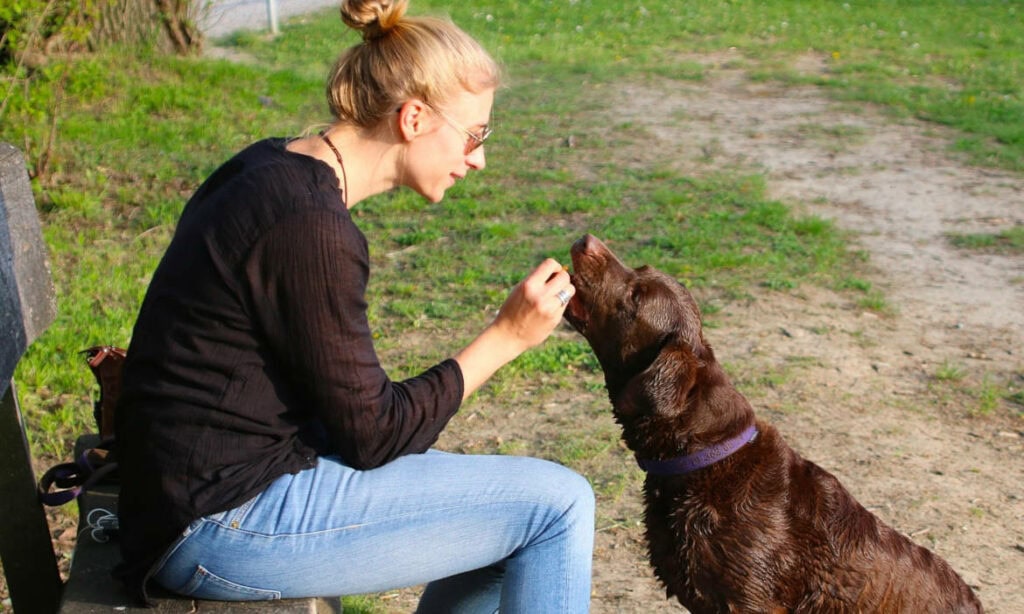 Hund mit Frauchen: Für Besitzer von großen Tieren kommt eine Tierhalter-Haftpflichtversicherung in Frage