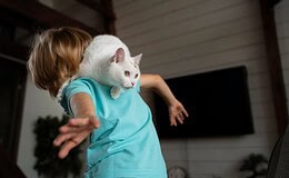 Tierversicherungen – das sind die aktuellen Trends 