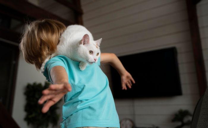 Tierversicherungen – das sind die aktuellen Trends