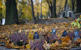 Für den Todesfall vorsorgen: Die Favoriten der Vema-Makler