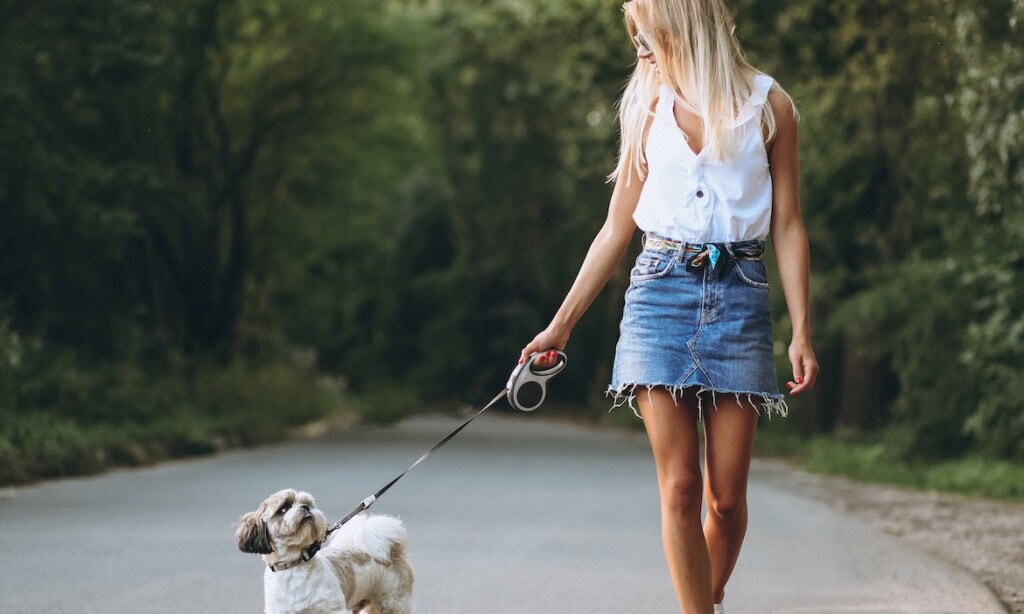 Frau spaziert mit Hund durch Park: Hundehalter haften laut einem aktuellen Urteil auch ohne Verschulden, wenn ihr Hund einen Schaden verursacht hat.