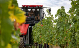 Betriebshaftpflicht 2025: Bessere Tarife, neue Branchen