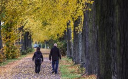 Lebensversicherer schneiden leicht schlechter ab