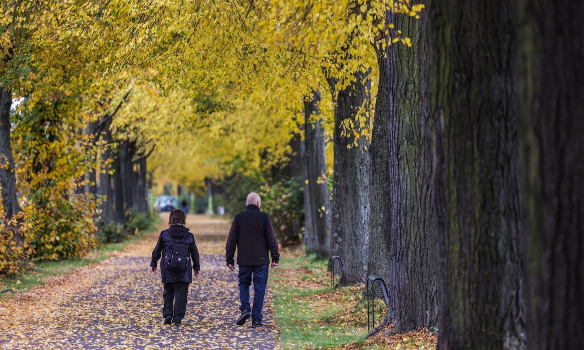 Lebensversicherer schneiden leicht schlechter ab