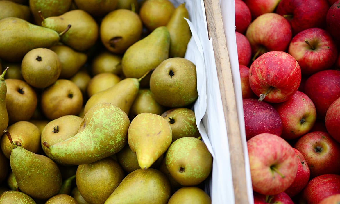 ETF-Sparplan versus Fondspolice