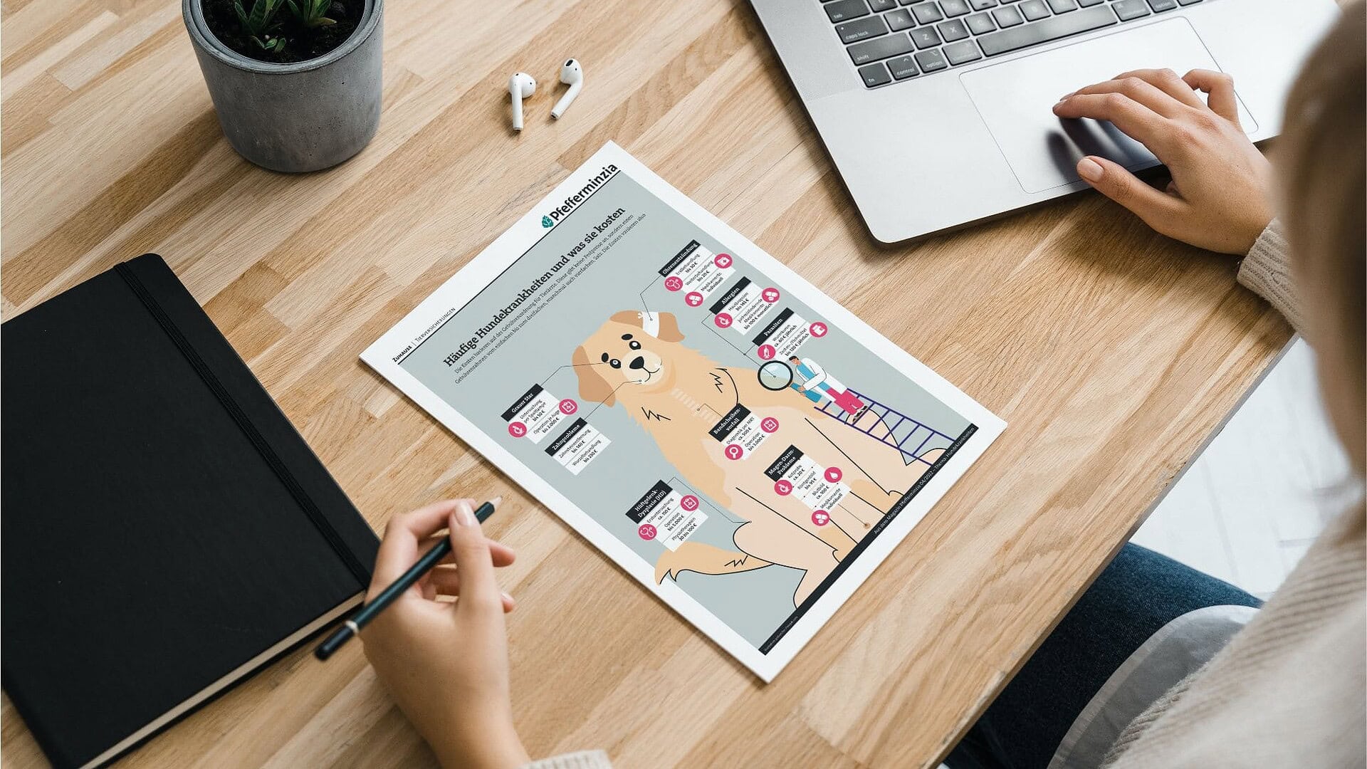 Häufige Hundekrankheiten Infografik auf einem Blatt Papier, auf Schreibtisch mit Laptop und Notizbuch.