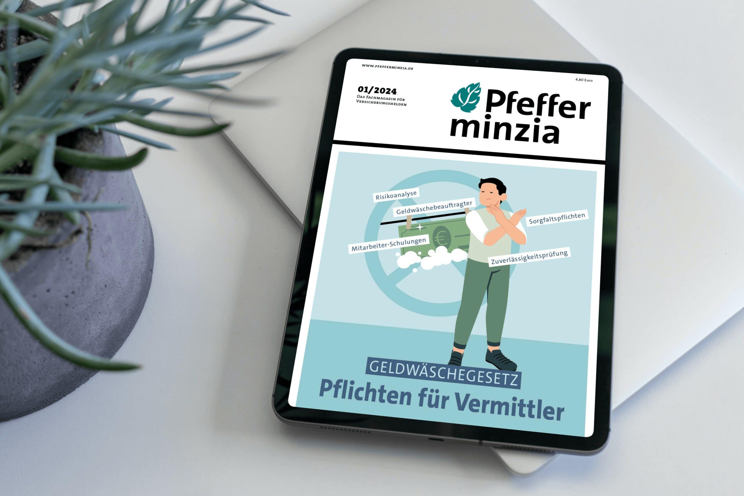 Verantwortliche Geldwäscheprävention für Vermittler, Versicherung und Finanzdienstleister.