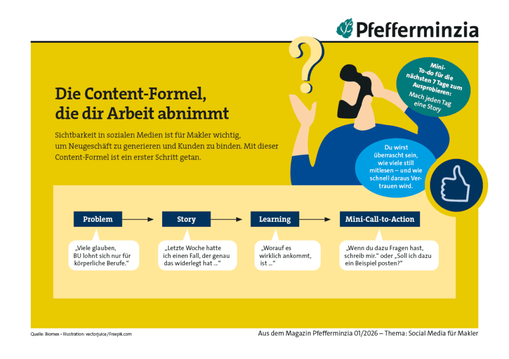Infografik zur Social-Media-Content-Formel für Makler, zeigt Problem, Story, Learning und Mini-Call-.