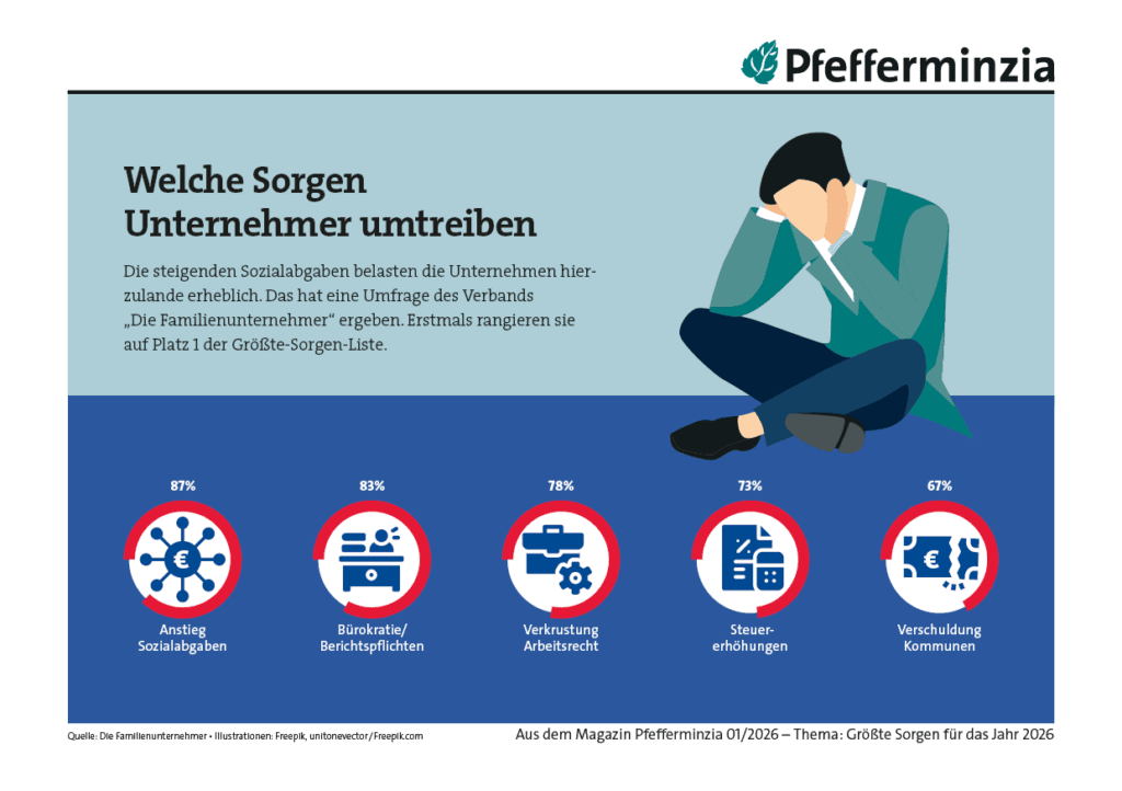 Unternehmer, die Sorgen um Steuerbelastung und soziale Abgaben haben.