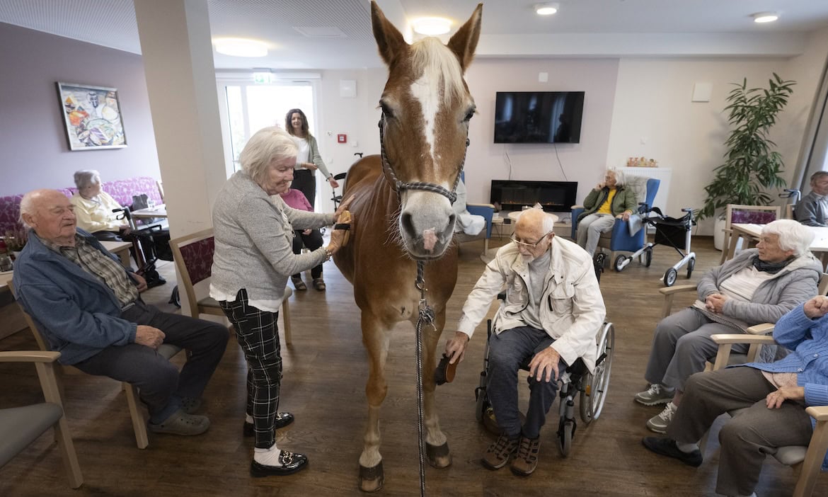 Pferd in Pflegeeinrichtung mit Senioren, Betreuung und Tiertherapie.