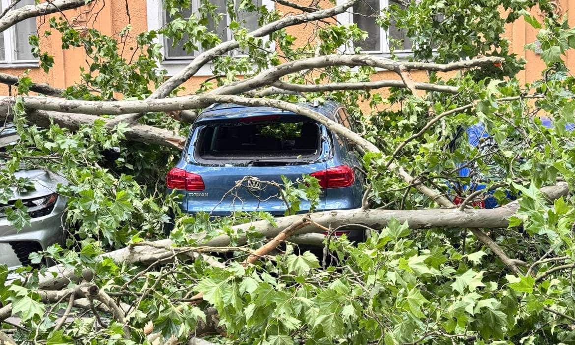 Sturm mit umgestürzten Bäumen beschädigt geparkte Fahrzeuge in der Stadt.