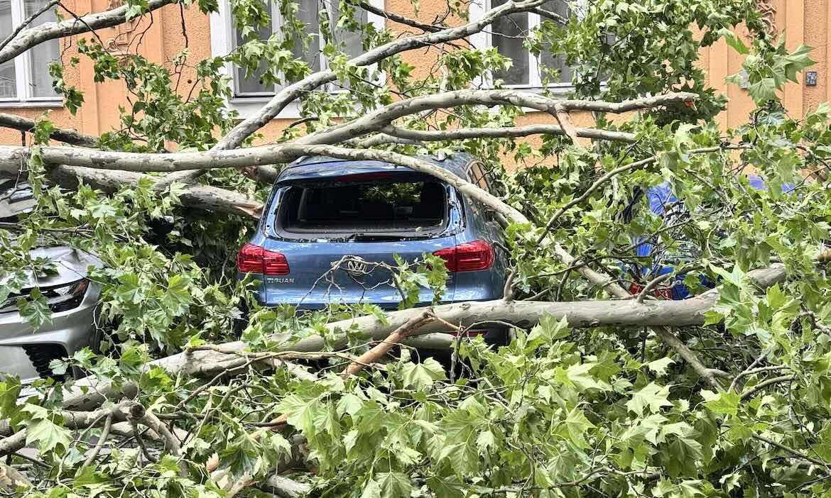 Baumstamm und Äste blockieren geparktes Auto nach Sturm.