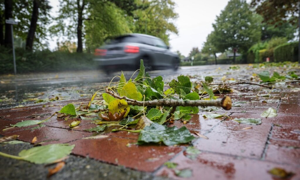Regen, Blätter und Pfützen auf nasser Straße bei Unwetter.