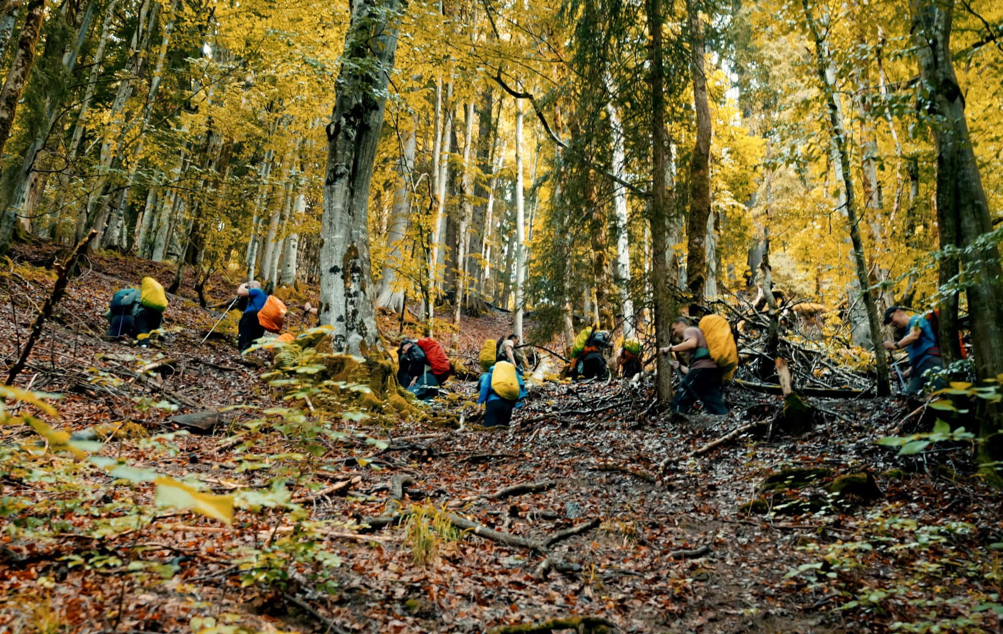 Eine bunte Raupe, die sich den Berg hochschlängelt (Foto: Nick Bruckner)