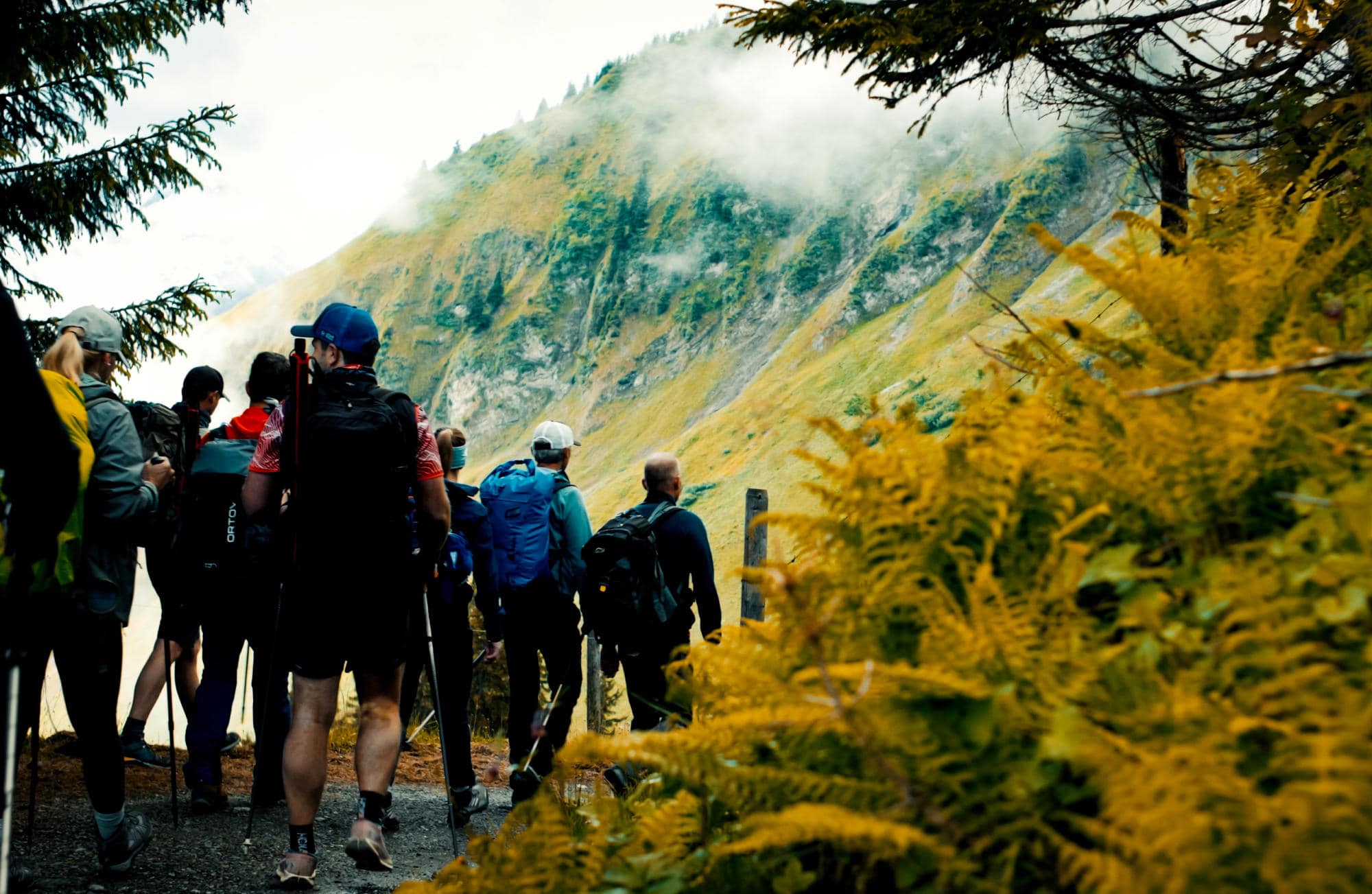 Der Wandertag beginnt auf festem Weg mit gemächlicher Steigung (Foto: Nick Bruckner)