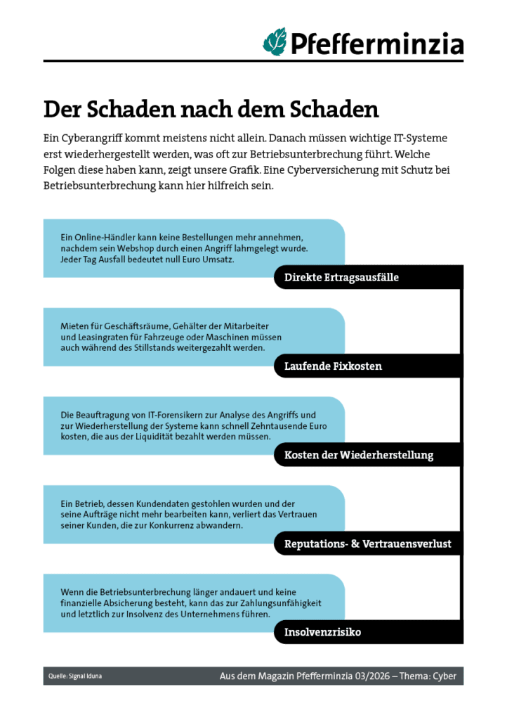 Grafik zeigt Cyber-Sicherheitsrisiken und deren Auswirkungen auf Unternehmen.