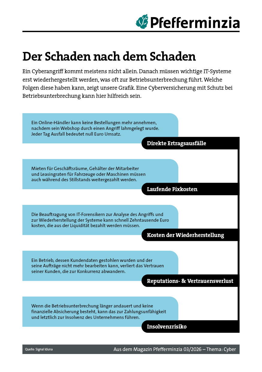 Grafik zeigt Cyber-Sicherheitsrisiken und deren Auswirkungen auf Unternehmen.
