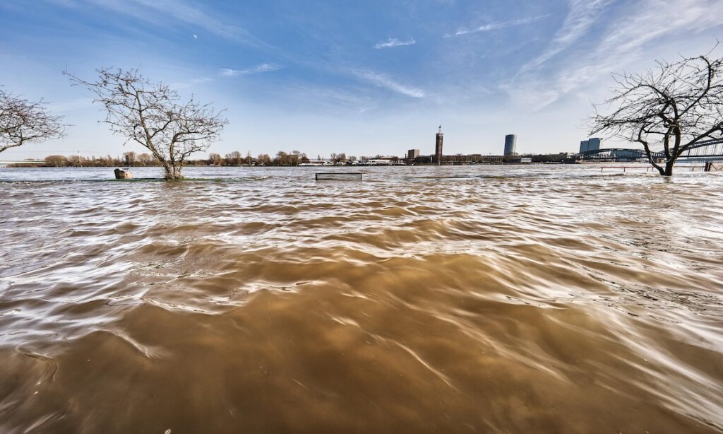 Hochwasser in Köln: Unter den Überflutungen leidet die deutsche Wirtschaft.
