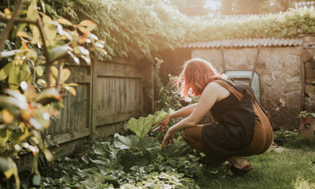 Entspannung und Gemüse im Garten: Eine neue Marke konzentriert sich unter anderem auf Gärten und Camping