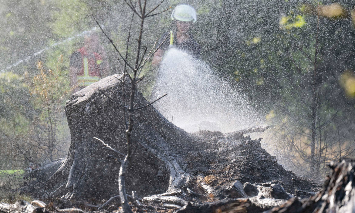 Feuerwehrleute löschen Walbrand bei Glashütten im Taunus: Wie ermittelt man den Schaden?