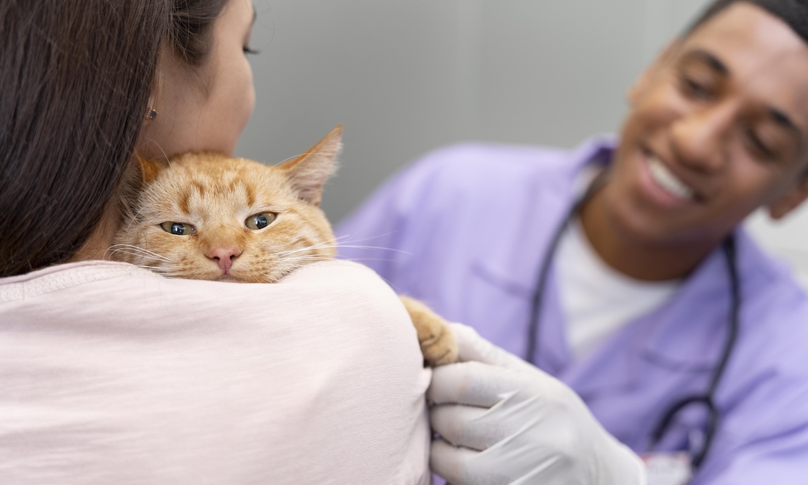 Katze bei Tierarzt: Die höheren Kosten beim Tierarzt versuchen Tierhalter mit Tier-OP- und Tier-Krankenversicherungen abzufedern.
