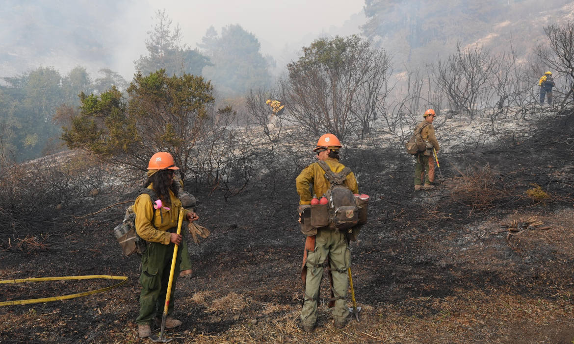 Waldbrand nahe Big Sur in Kalifornien: Auch ohne Hurrikan steigen die Katastrophenschäden